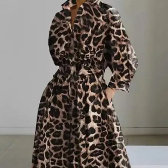 Long Sleeve Leopard Dress - Picture 1 of 1